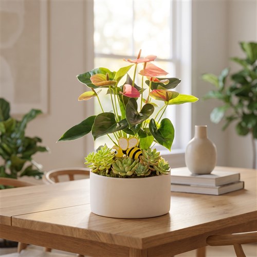 Pembe Anthurium Aranjmanı Avşa