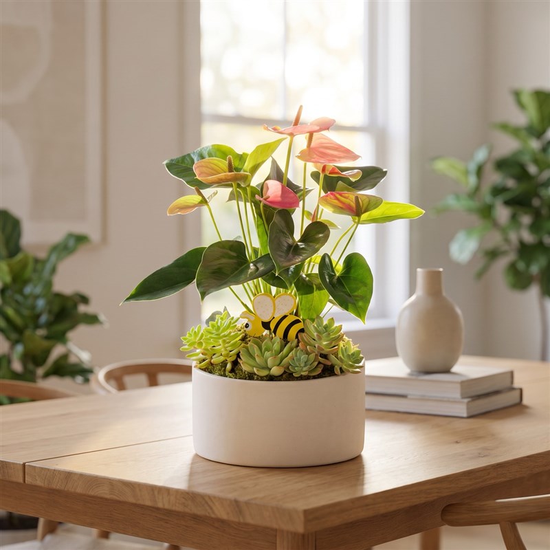 Pembe Anthurium Aranjmanı Avşa