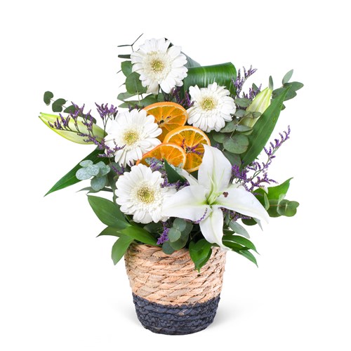 Sepette Gerbera Aranjmanı Balat Beyaz