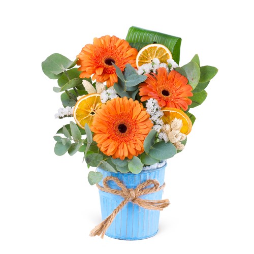 Sepette Gerbera Aranjmanı Balat Turuncu