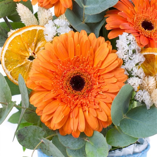 Sepette Gerbera Aranjmanı Balat Turuncu