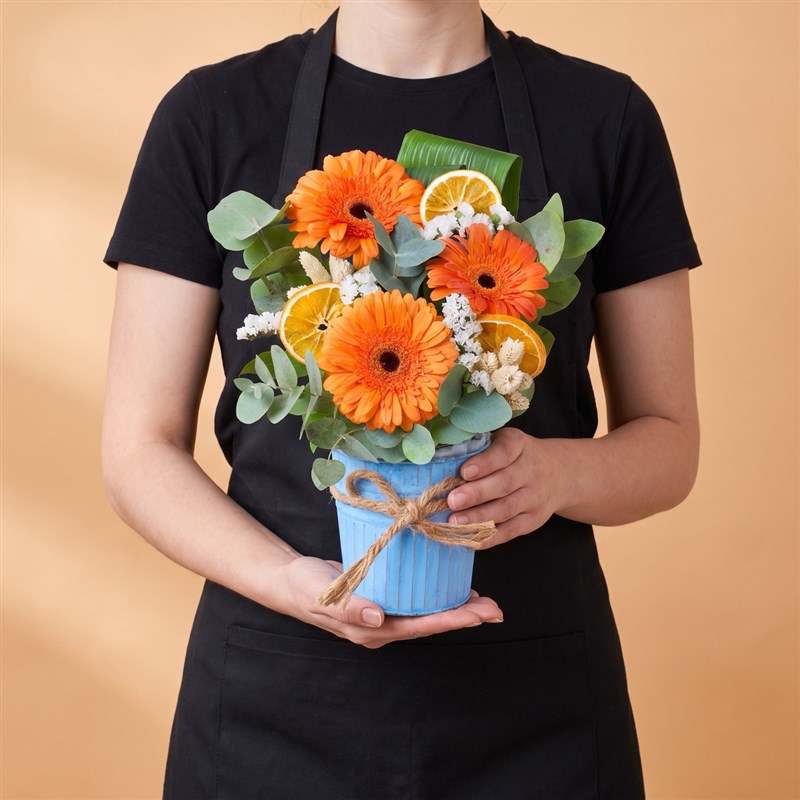 Sepette Gerbera Aranjmanı Balat Turuncu