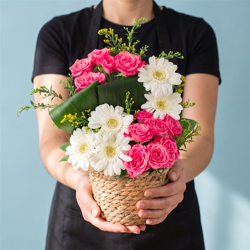 Sepette Gerbera Aranjmanı Balat Fuşya