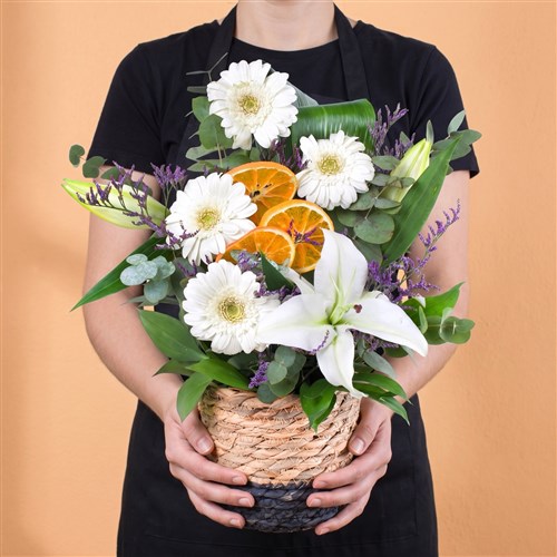 Sepette Gerbera Aranjmanı Balat Beyaz