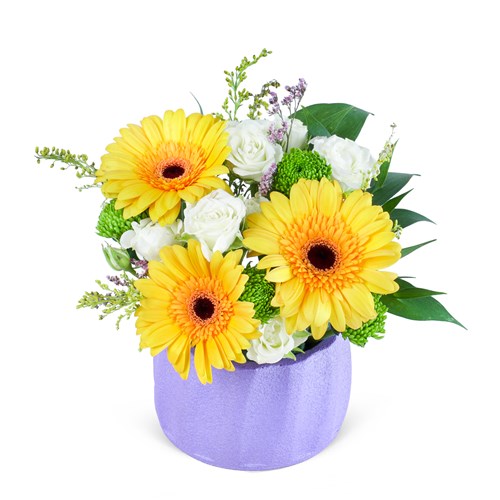 Sarı Gerbera Aranjmanı Milas