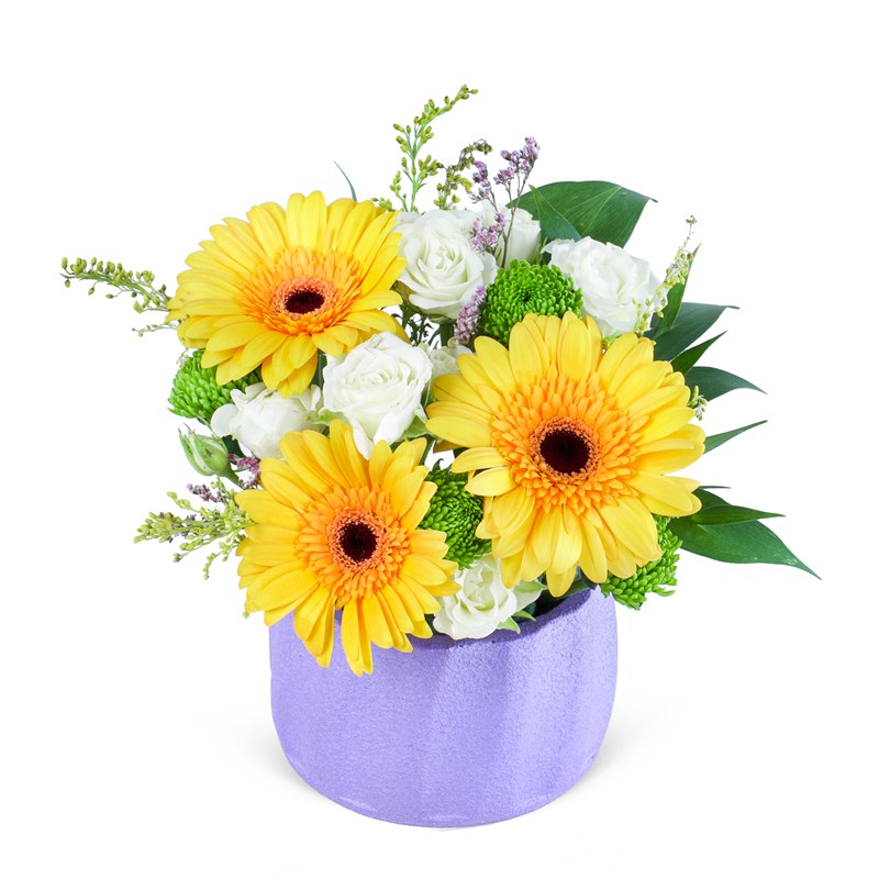 Sarı Gerbera Aranjmanı Milas