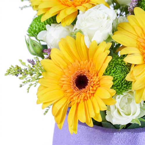 Sarı Gerbera Aranjmanı Milas