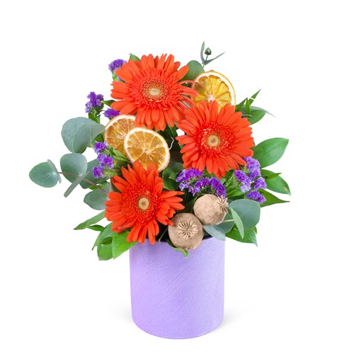 Turuncu Gerbera Aranjmanı Balat