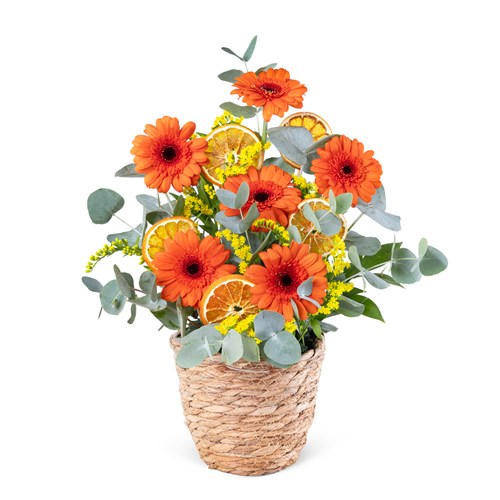 Sepette Turuncu Gerbera Aranjmanı Balat
