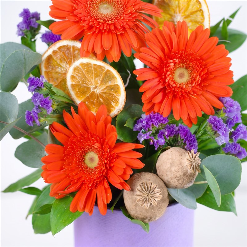 Turuncu Gerbera Aranjmanı Balat