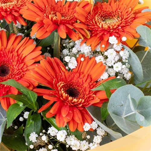 Turuncu Gerbera Buketi Kefken