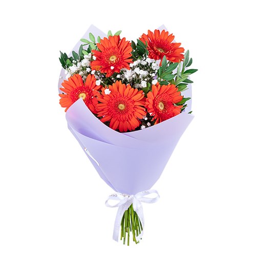 Turuncu Gerbera Buketi Riva