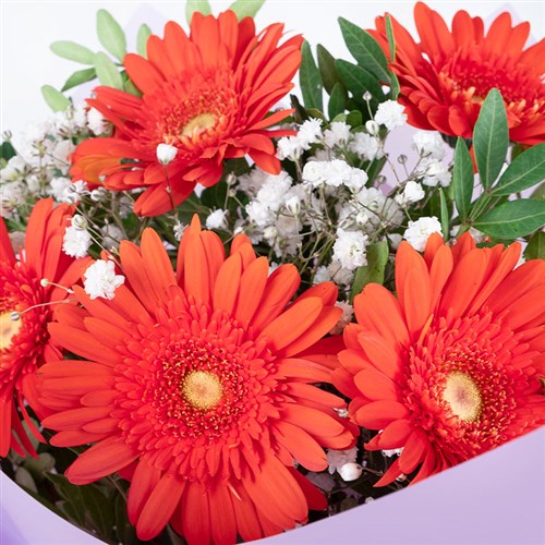 Turuncu Gerbera Buketi Riva
