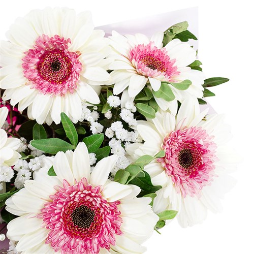 Beyaz Pembe Gerbera Buketi Riva