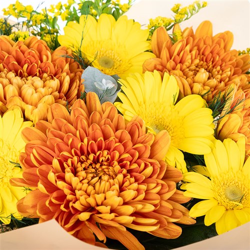 Sarı Gerbera ve Anastasia Buketi Amber Glow
