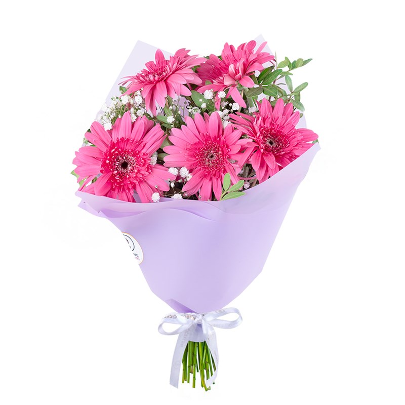 Fuşya Gerbera Buketi Riva