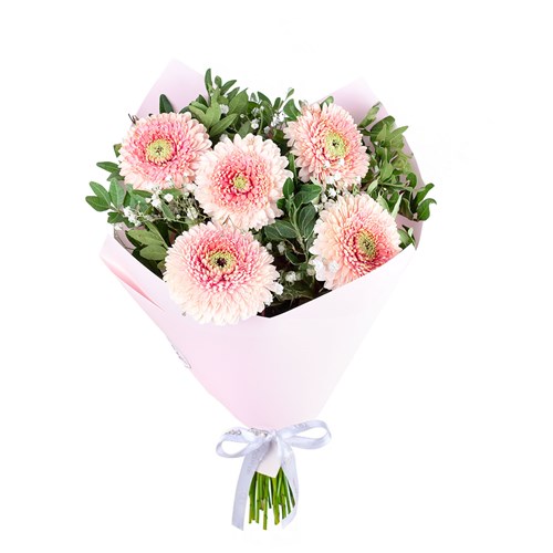 Soft Pembe Gerbera Buketi Riva