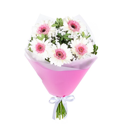 Beyaz Pembe Gerbera Buketi Riva