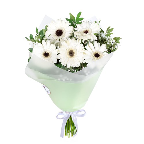 Beyaz Gerbera Buketi Riva