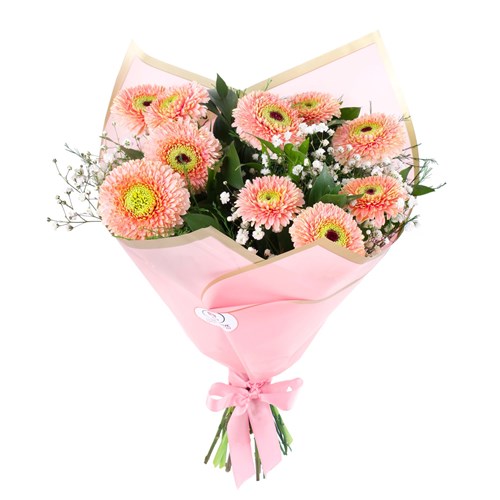 Pembe Gerbera Buketi - Riva Pink