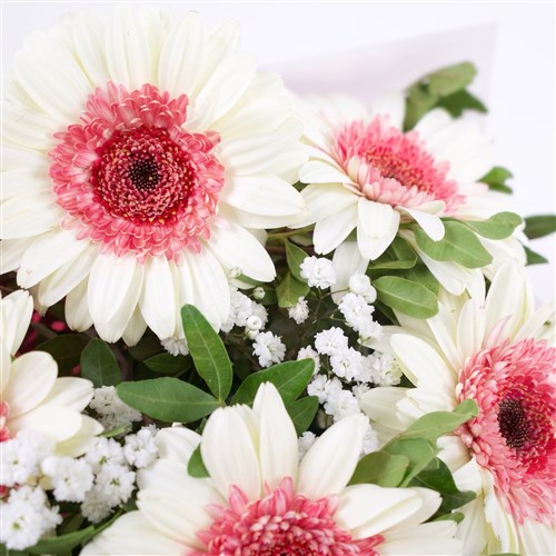 Beyaz Pembe Gerbera Buketi Riva
