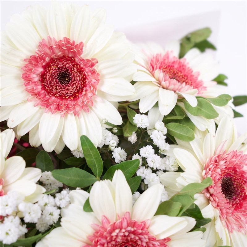 Beyaz Pembe Gerbera Buketi Riva