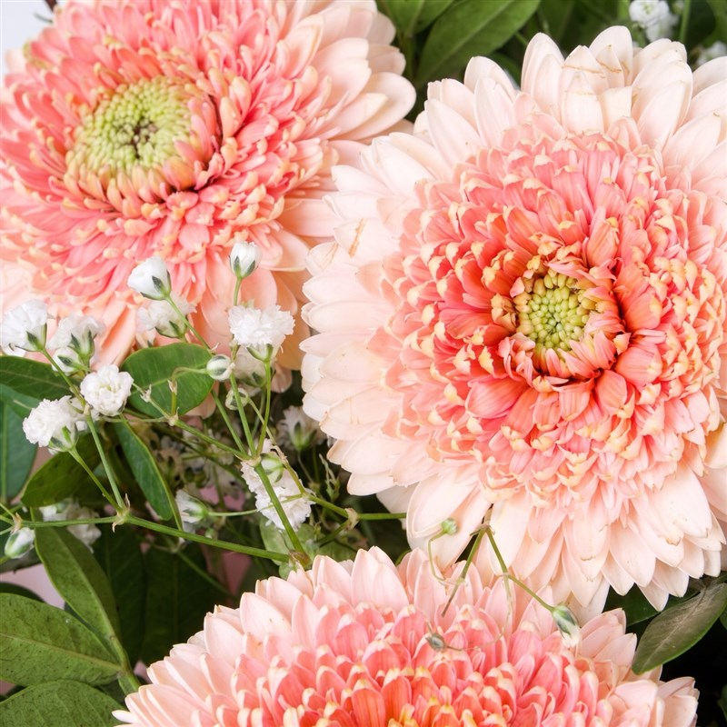 Soft Pembe Gerbera Buketi Riva