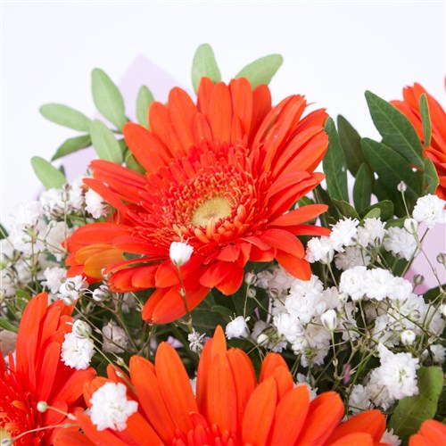 Turuncu Gerbera Buketi Riva