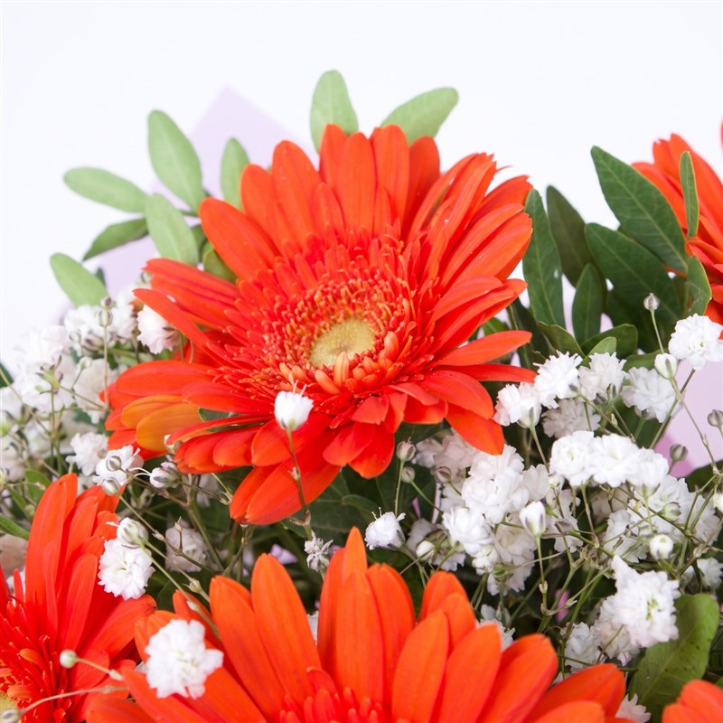 Turuncu Gerbera Buketi Riva