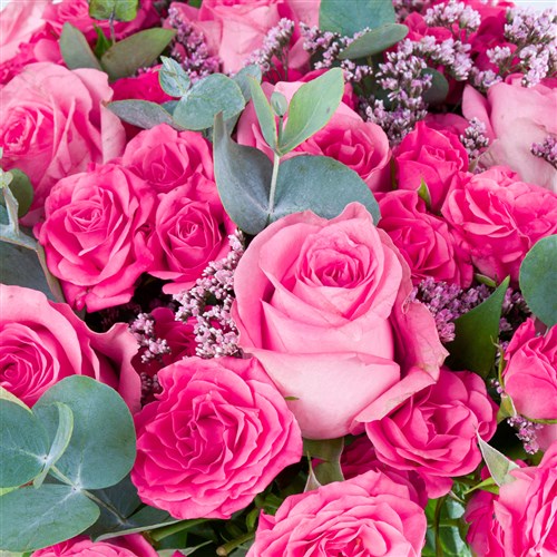 Huge Pink Love