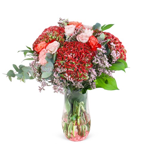 Kırmızı Ortanca Aranjmanı Red Rosa