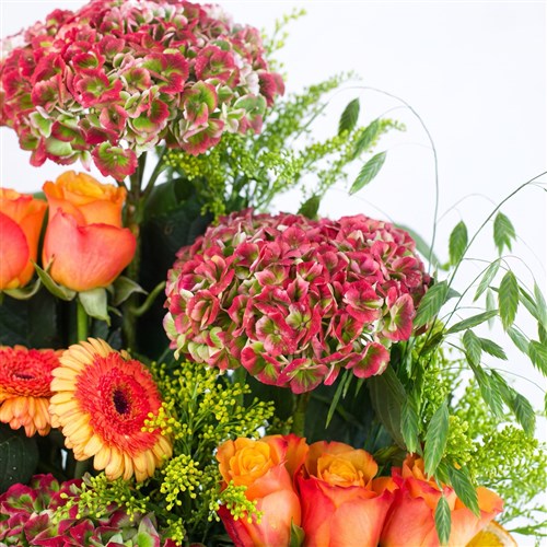 Kırmızı Ortanca Aranjmanı Orange Rosa