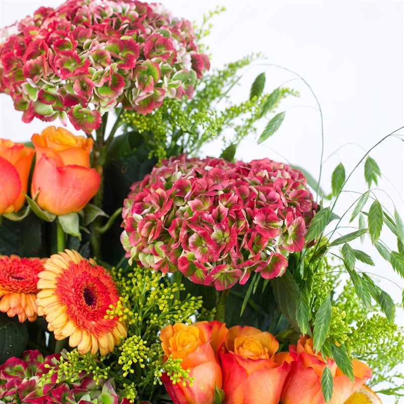 Kırmızı Ortanca Aranjmanı Orange Rosa