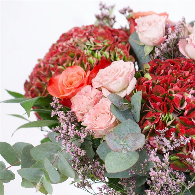 Kırmızı Ortanca Aranjmanı Red Rosa