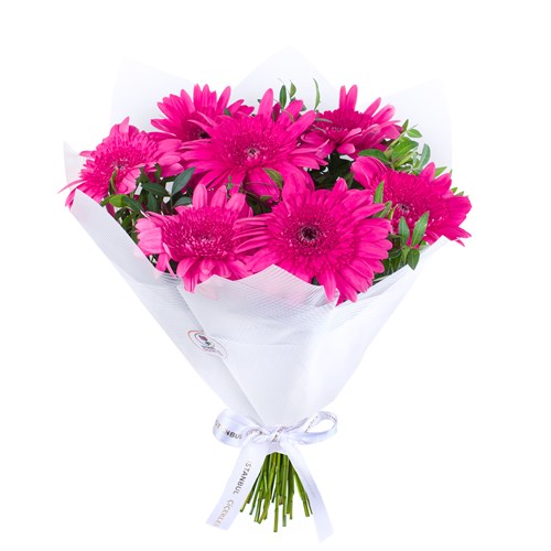 Fuşya Gerbera Buketi Riva Fuşya