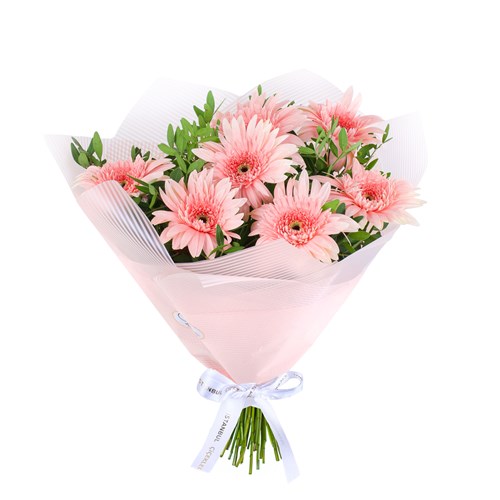 Toz Pembe Gerbera Buketi Riva Pembe