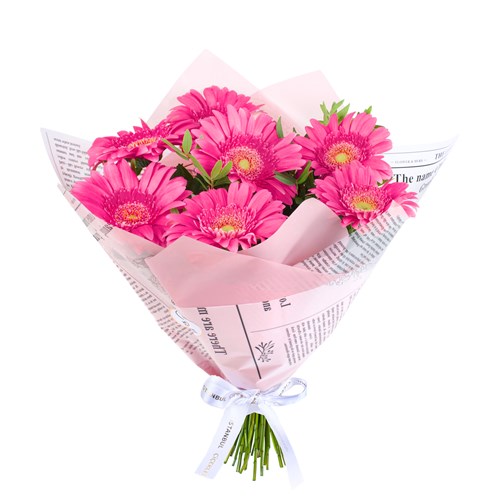 Pembe Gerbera Buketi Riva Pembe