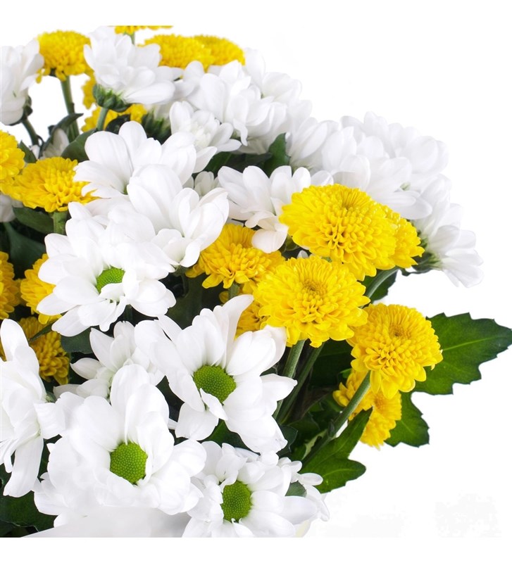 Beyaz ve Sarı Papatya Buketi - Kuzguncuk White Yellow