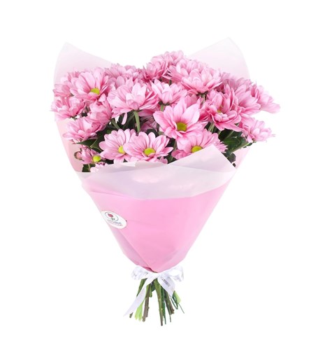 Pembe Papatya Buketi  Kuzguncuk Pink