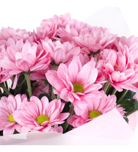 Pembe Papatya Buketi  Kuzguncuk Pink