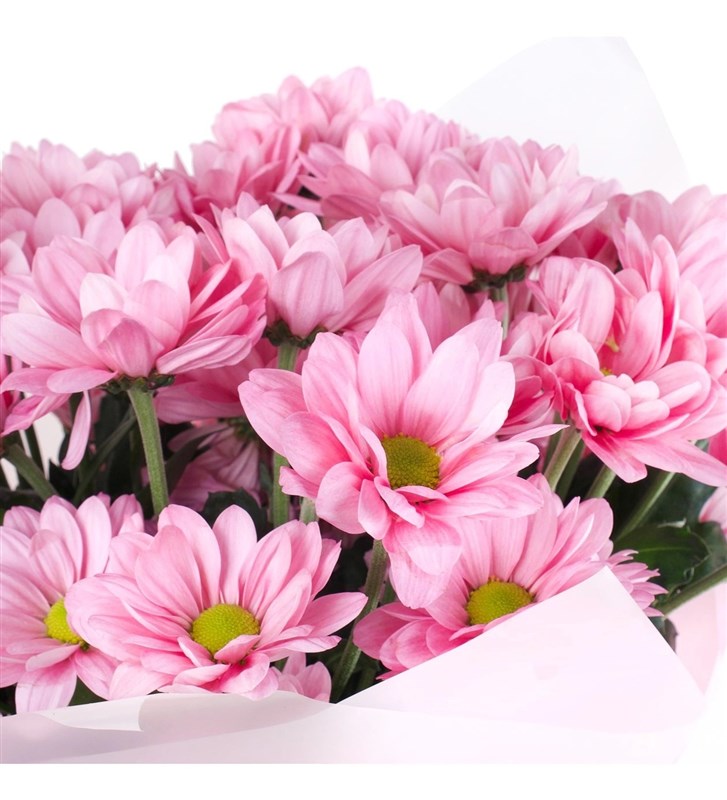 Pembe Papatya Buketi  Kuzguncuk Pink