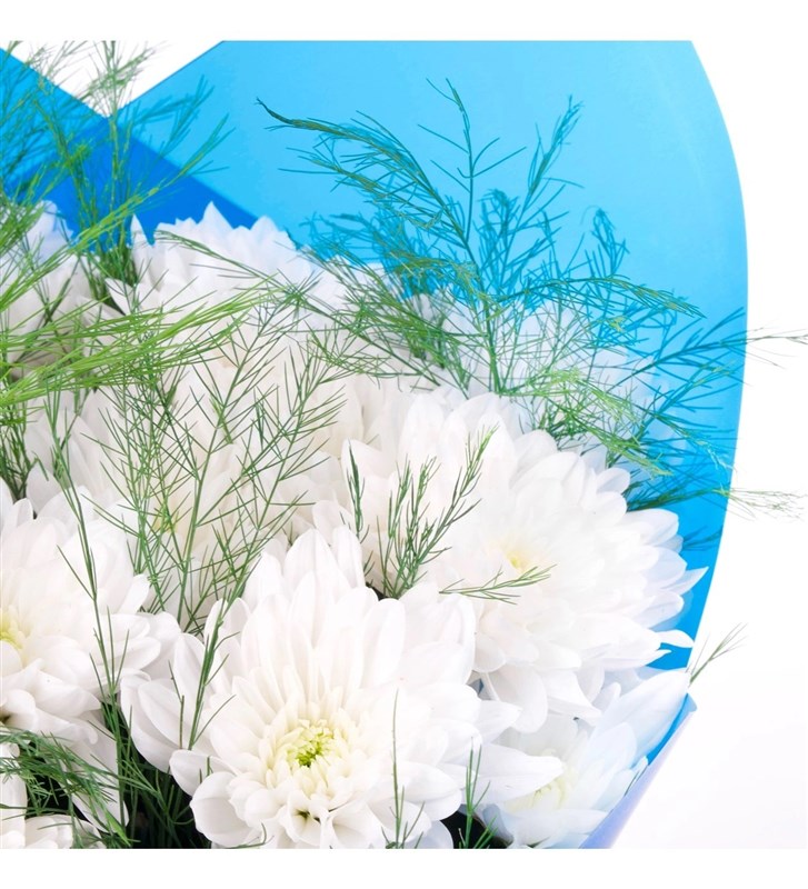 Beyaz ve Mavi Papatya Buketi - Kuzguncuk White Blue