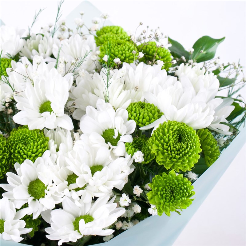 Kuzguncuk White Green