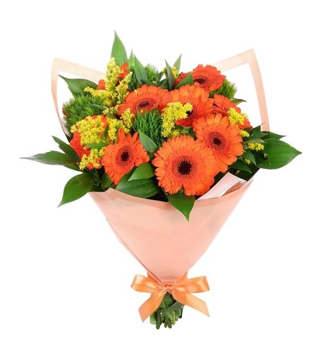 Turuncu Gerbera - Riva Orange