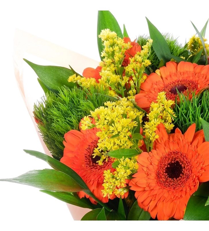 Turuncu Gerbera - Riva Orange