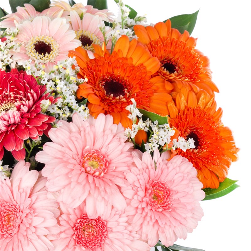 Renkli Gerberalar Konak