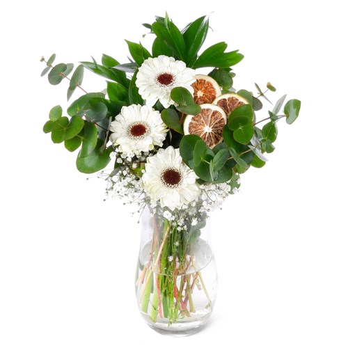 Midi Gerbera Aranjmanı Beyoğlu