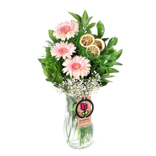 Pembe Gerbera Aranjmanı Datça