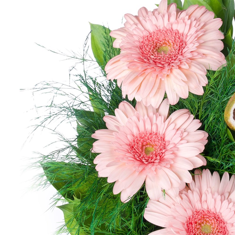 Pembe Gerbera Aranjmanı Datça