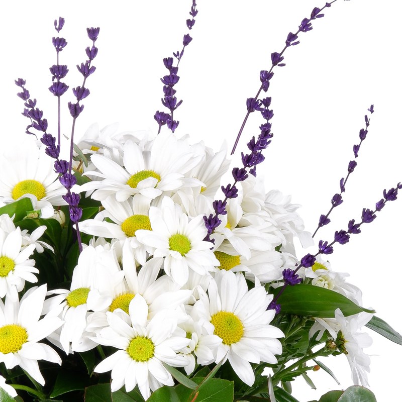 Beyaz Papatya Aranjmanı Gökçeada